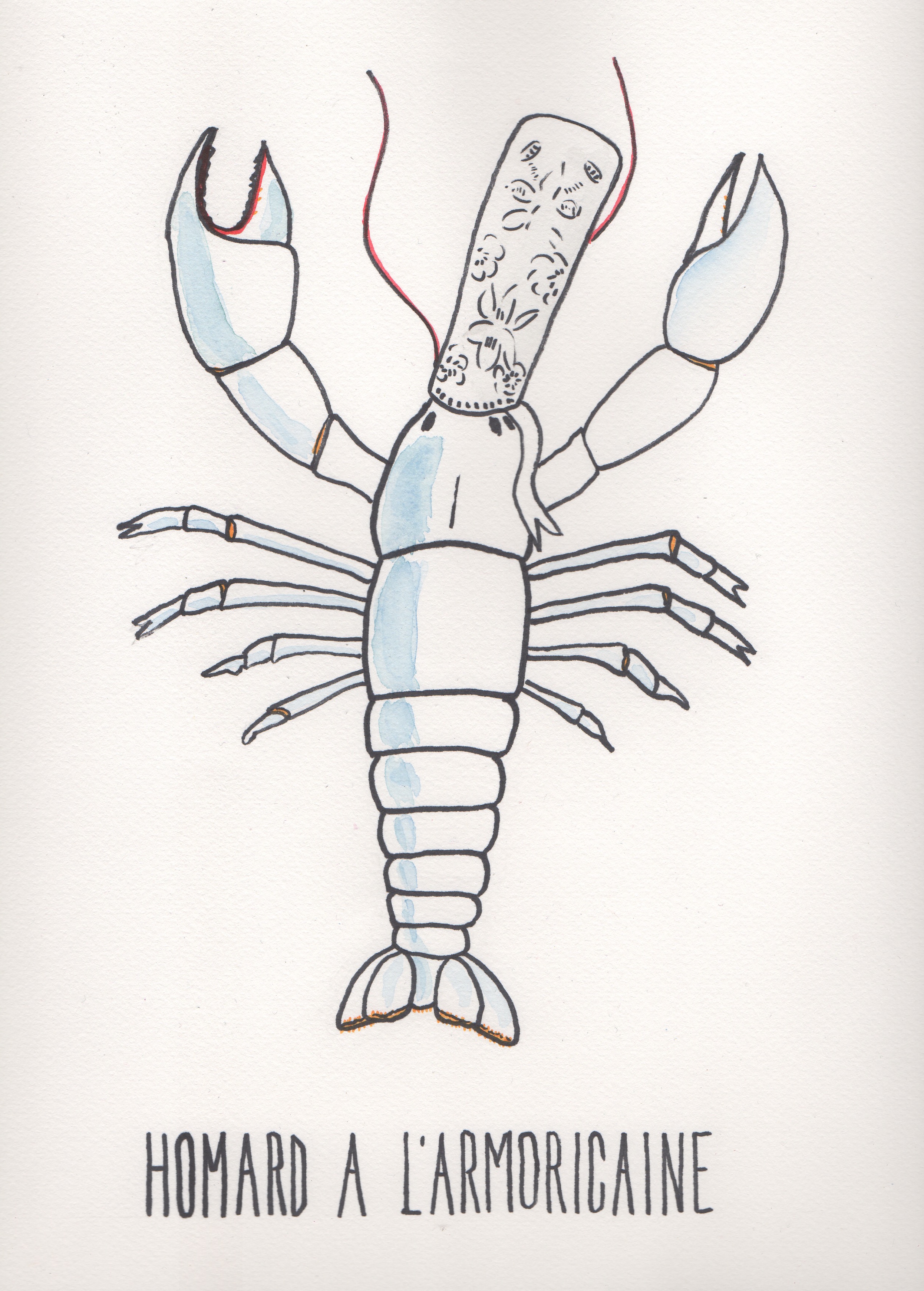 cuisine, bretagne, menu, illustration